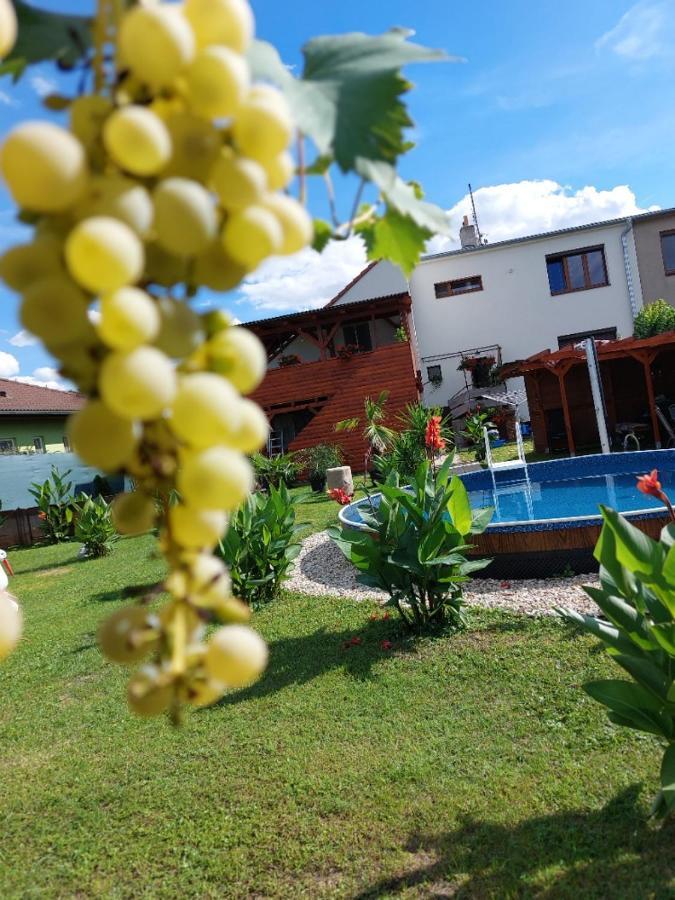 Penzion U Ježů - Ubytování Pasohlávky Exterior foto