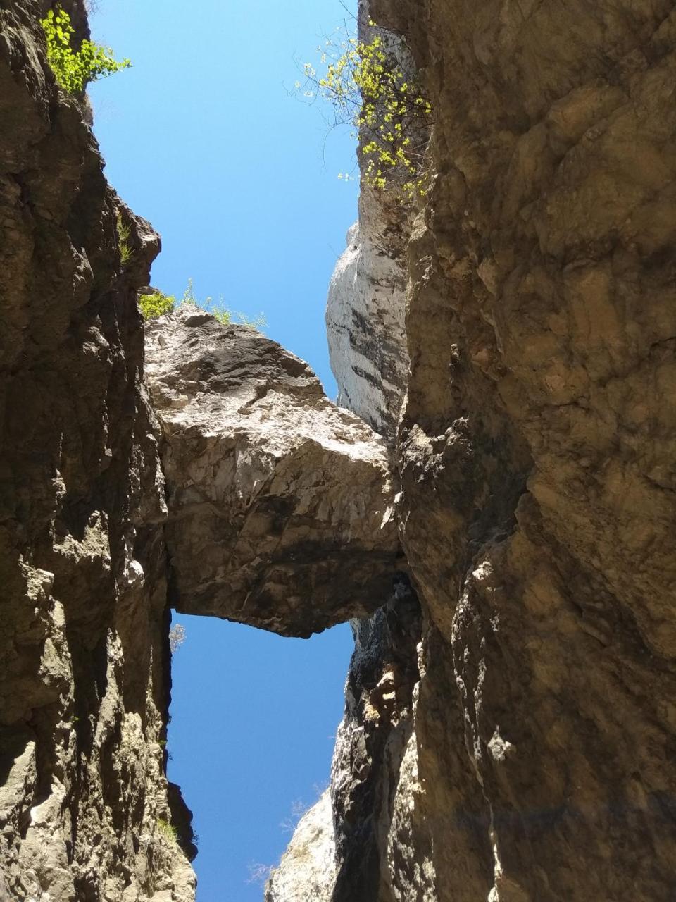 Penzion U Ježů - Ubytování Pasohlávky Exterior foto